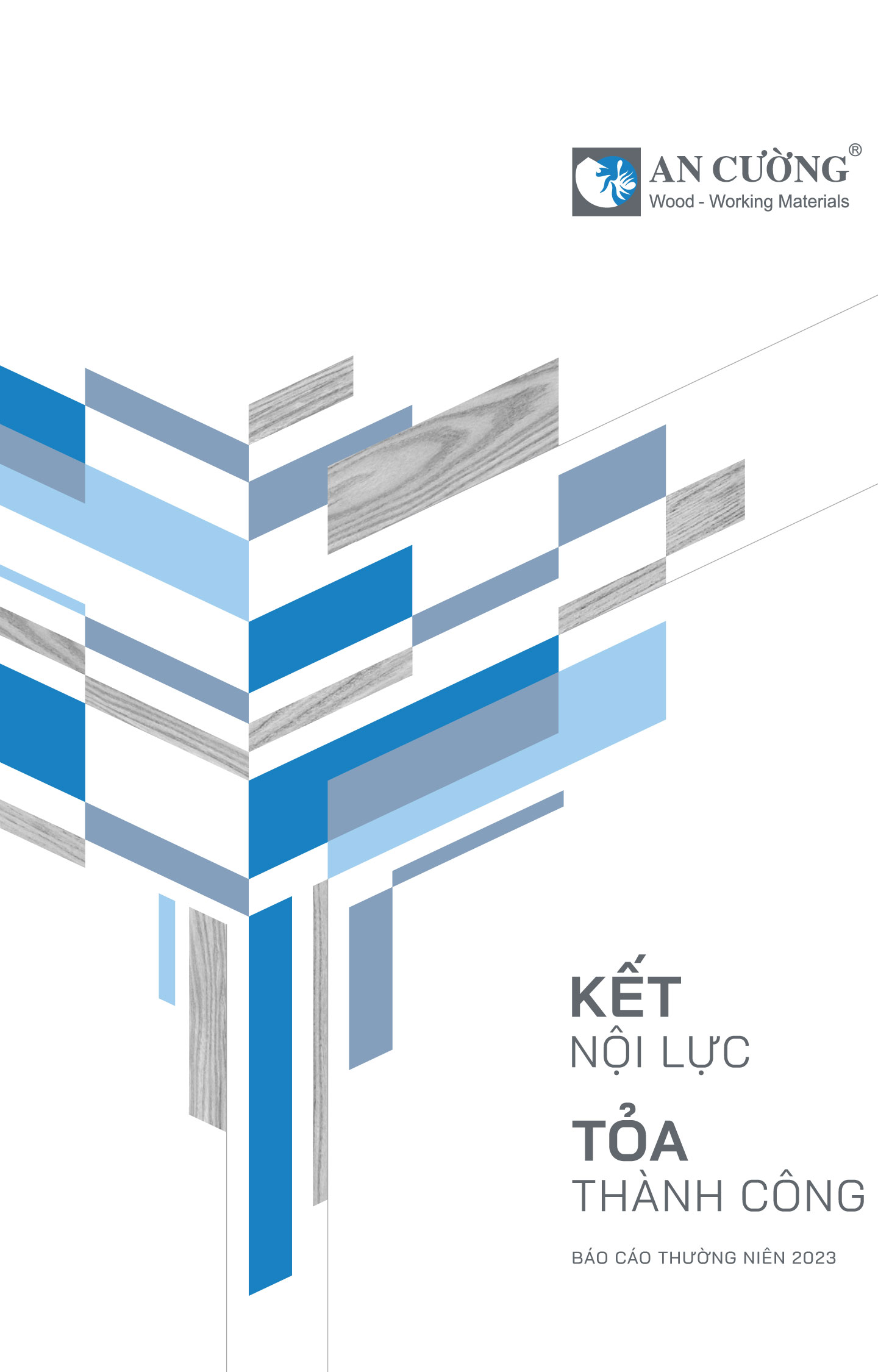 Báo cáo thường niên 2023