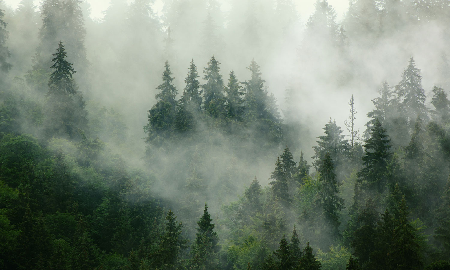 <h4><strong>LAMINATE | MFC COLLECTION </strong>BỘ SƯU TẬP ĐỒNG MÀU SỐ 6</h4>