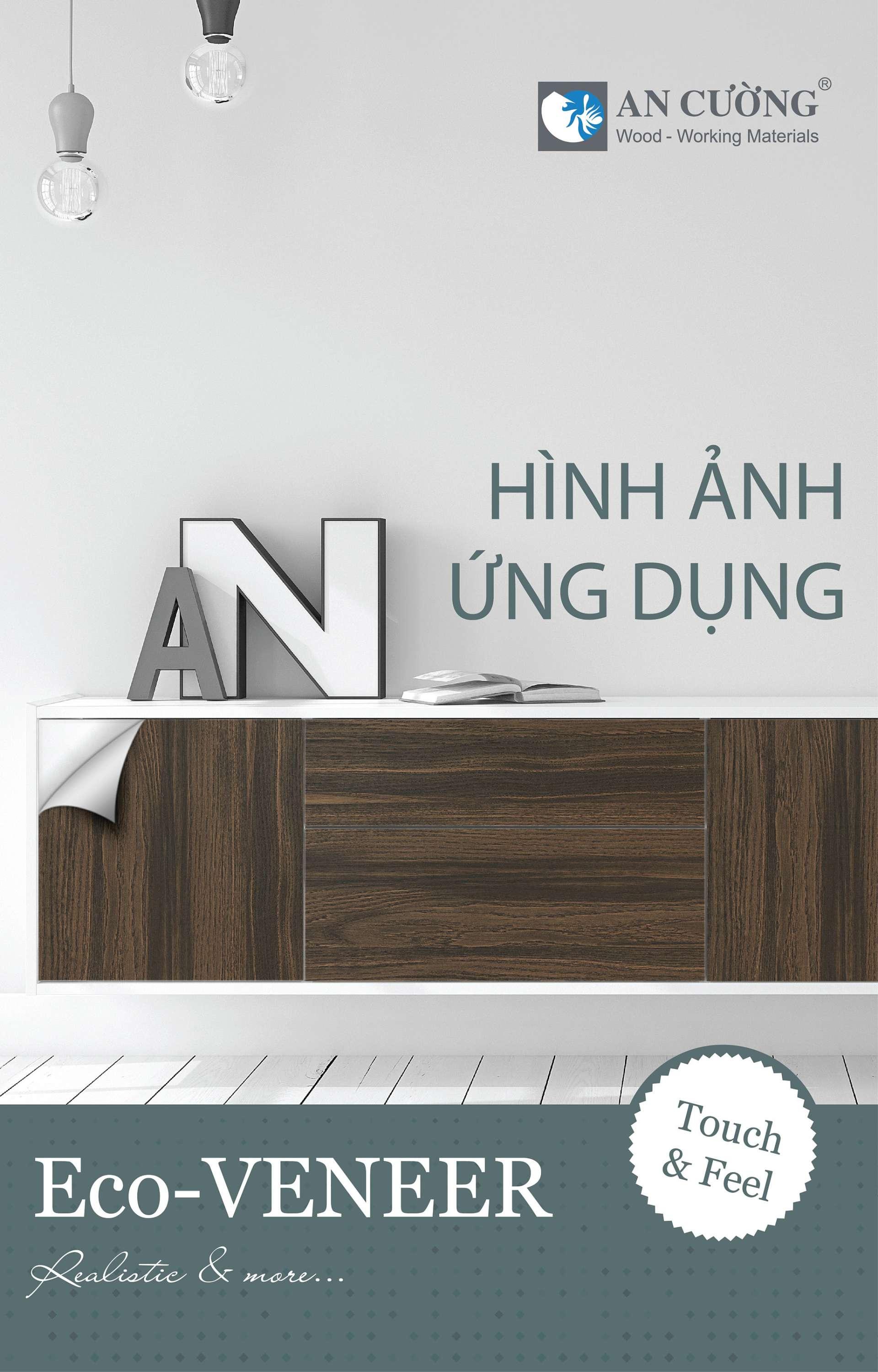 HÌNH ẢNH ỨNG DỤNG - ECO VENEER