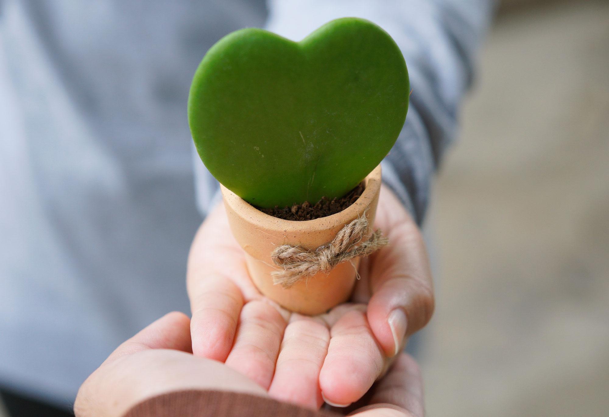 QUẢN TRỊ & ĐẠO ĐỨC KINH DOANH