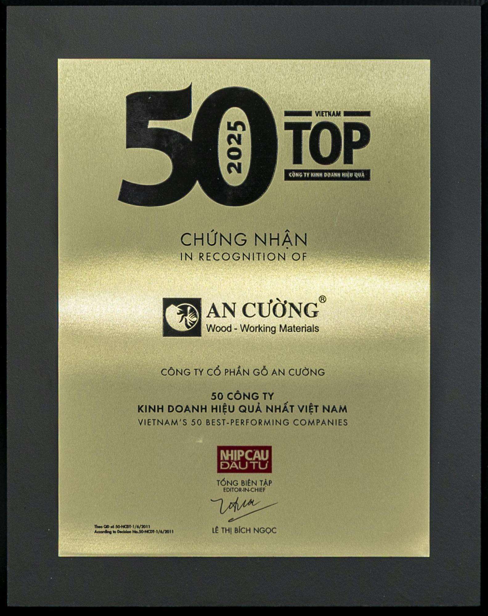 TOP 50 CÔNG TY KINH DOANH HIỆU QUẢ NHẤT VIỆT NAM 2025