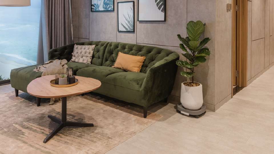 sàn gỗ công nghiệp trơn