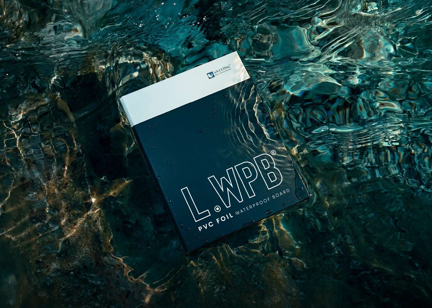 L.WPB - GIẢI PHÁP CHỐNG NƯỚC & MỐI MỌT TOÀN DIỆN