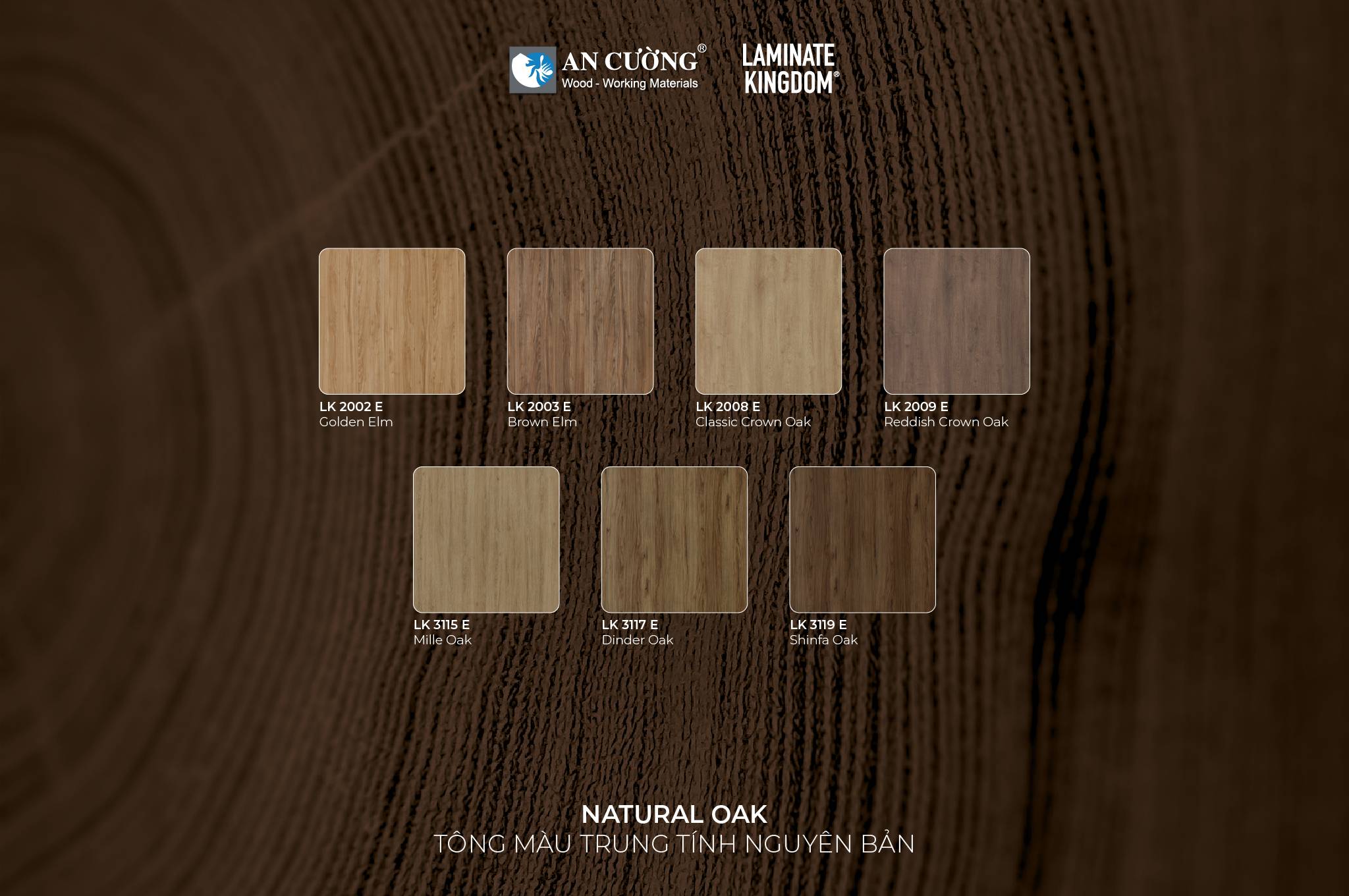 laminate-synchronized-eir-by-ancuong-05.jpg