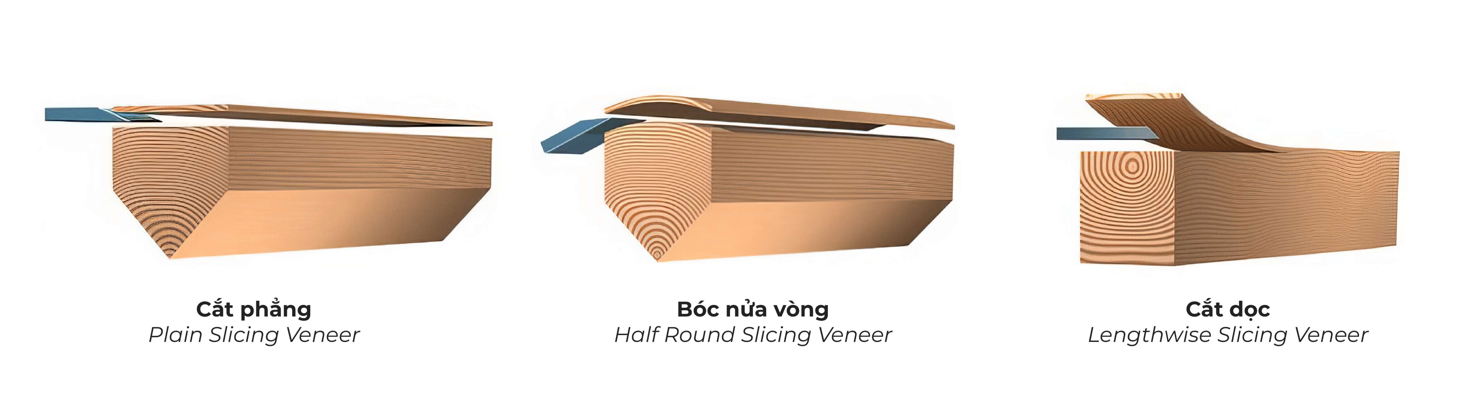 kỹ thuật lạng veneer