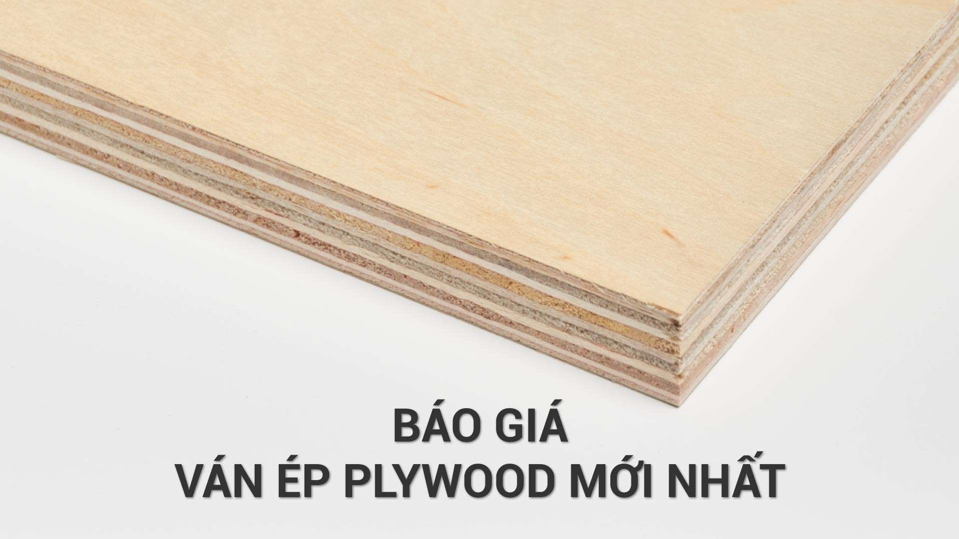 giá ván ép plywood