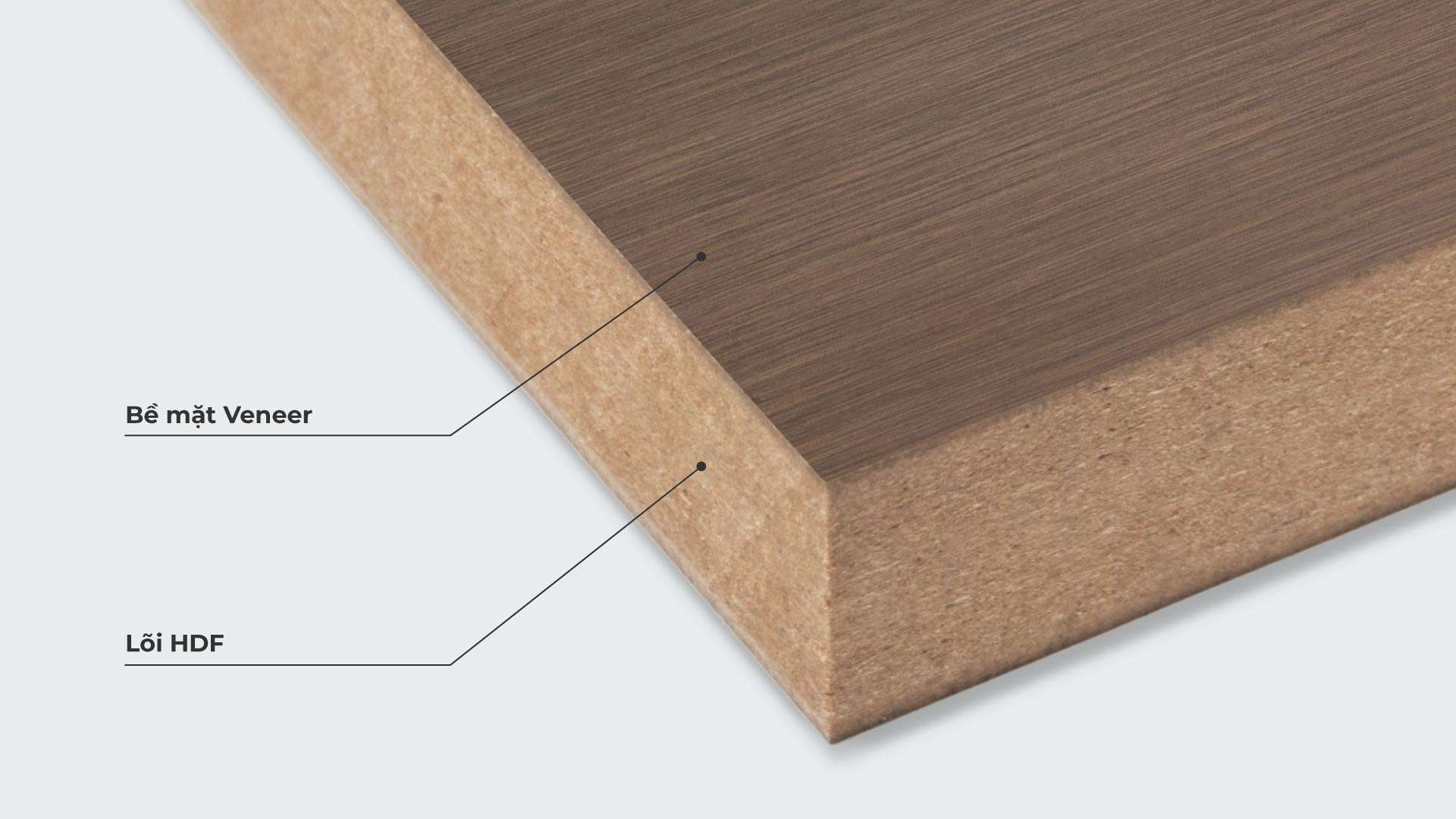 cấu tạo gỗ hdf phủ veneer
