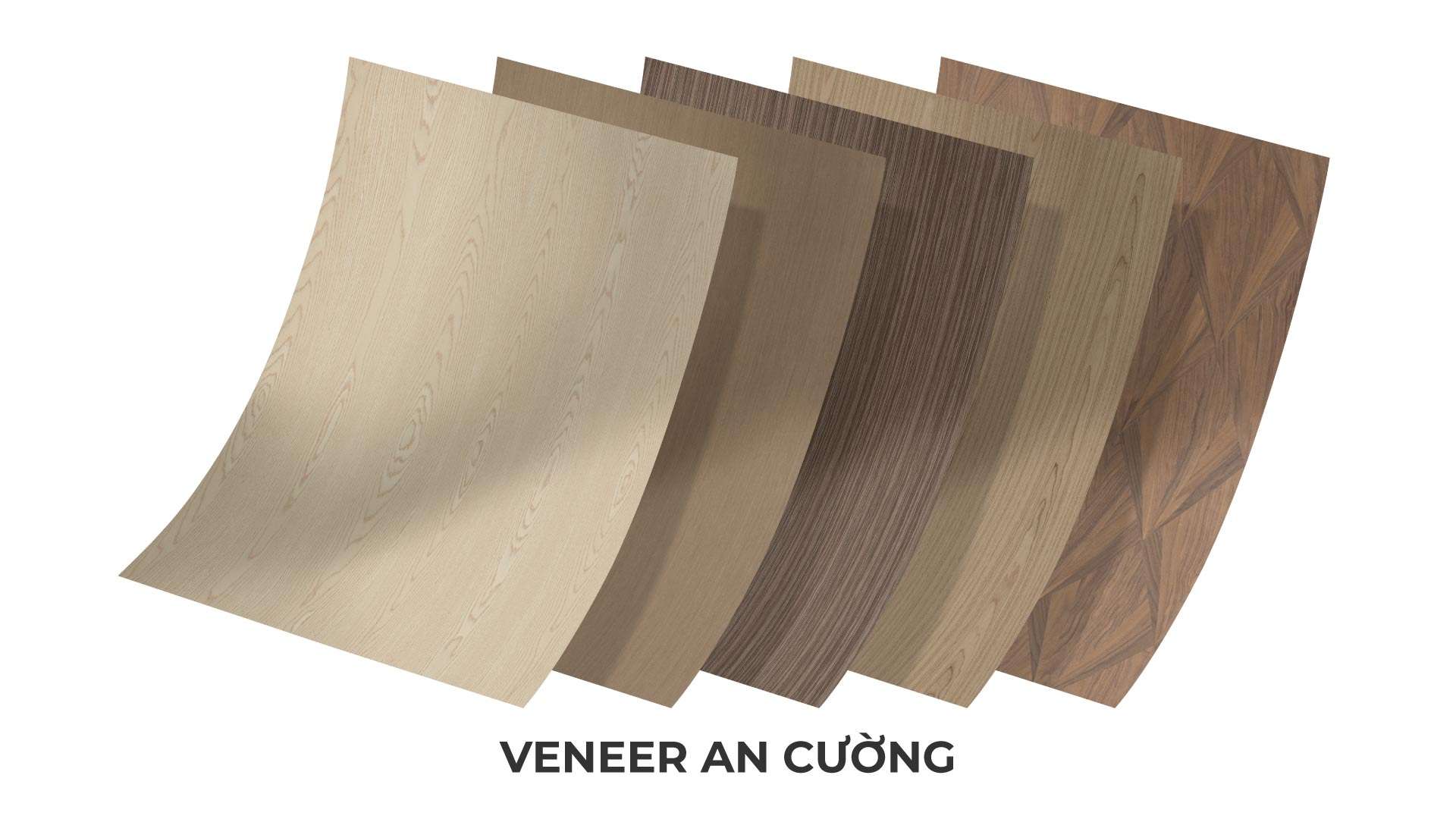 đa dạng bề mặt veneer phủ hdf
