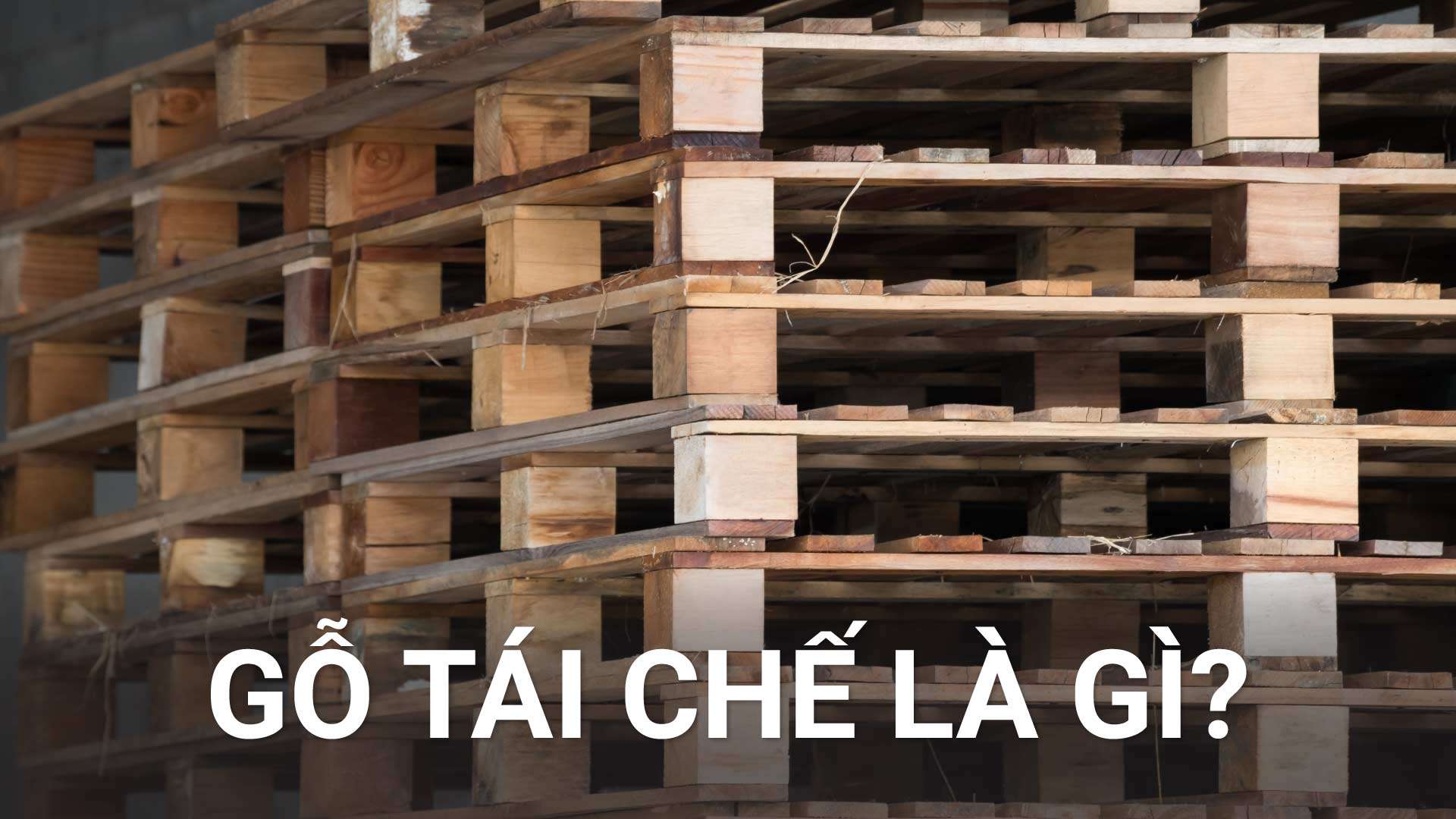 gỗ tái chế là gì