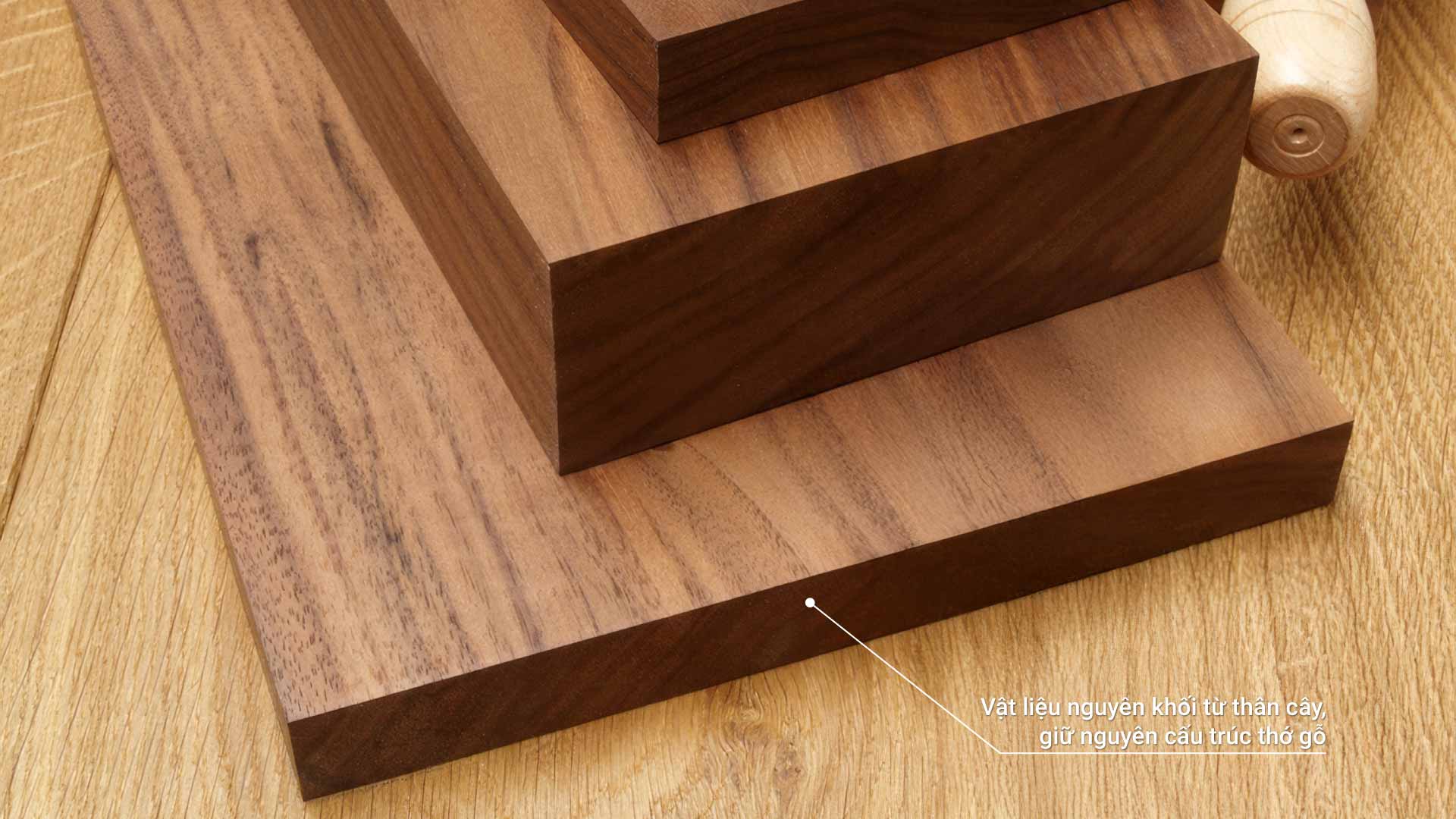 cấu tạo gỗ tự nhiên