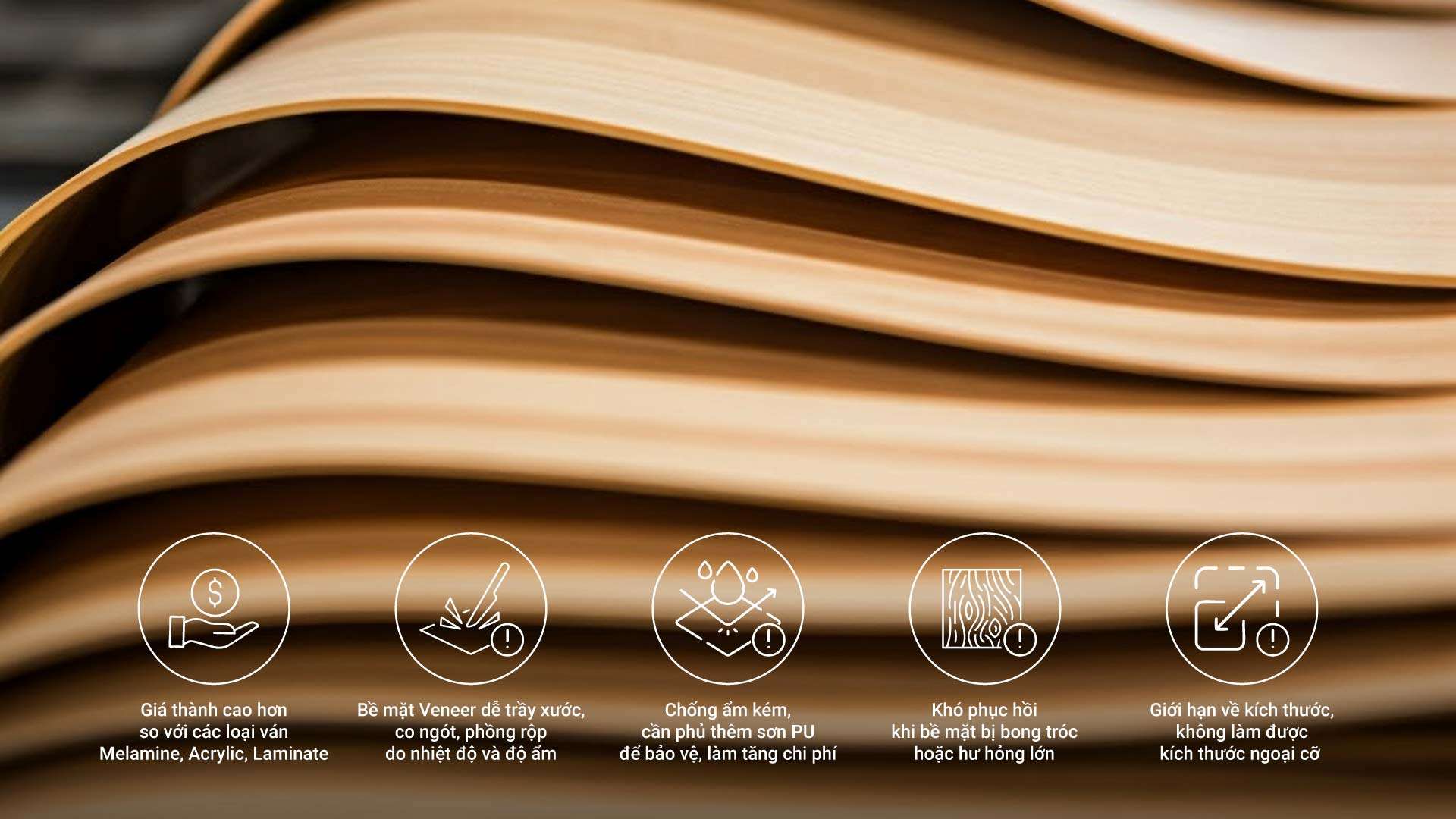 ván plywood phủ veneer an cường