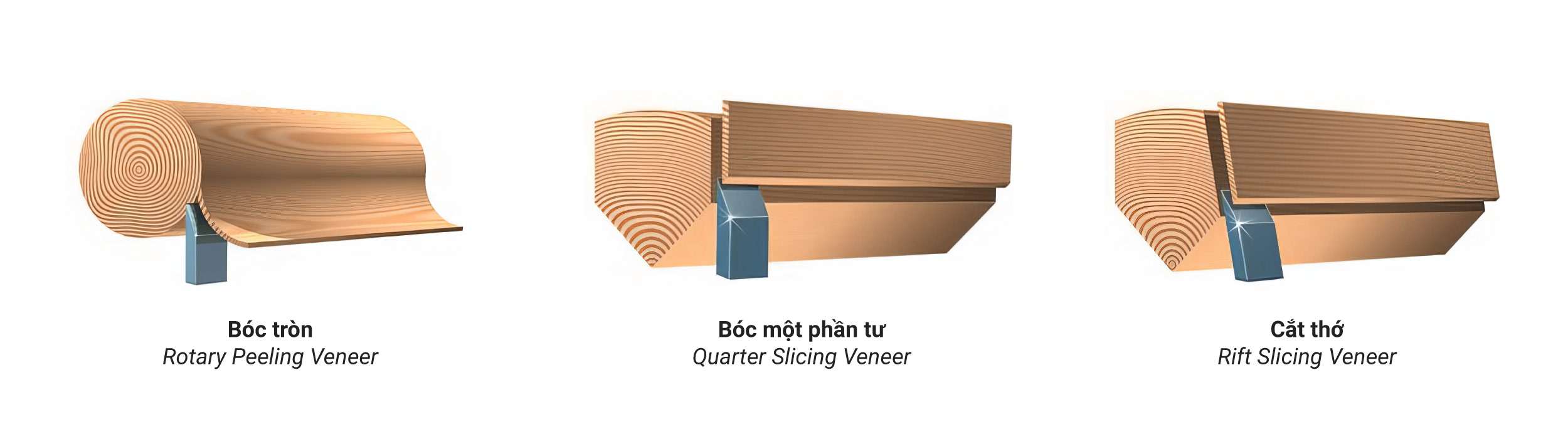 khái niệm veneer
