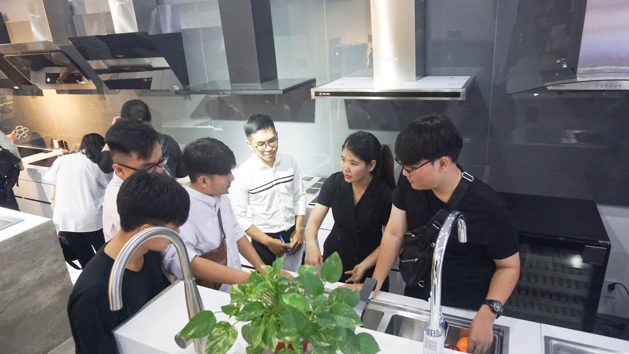 73045518264346 07857146533088 49881491125043 2n.jpg