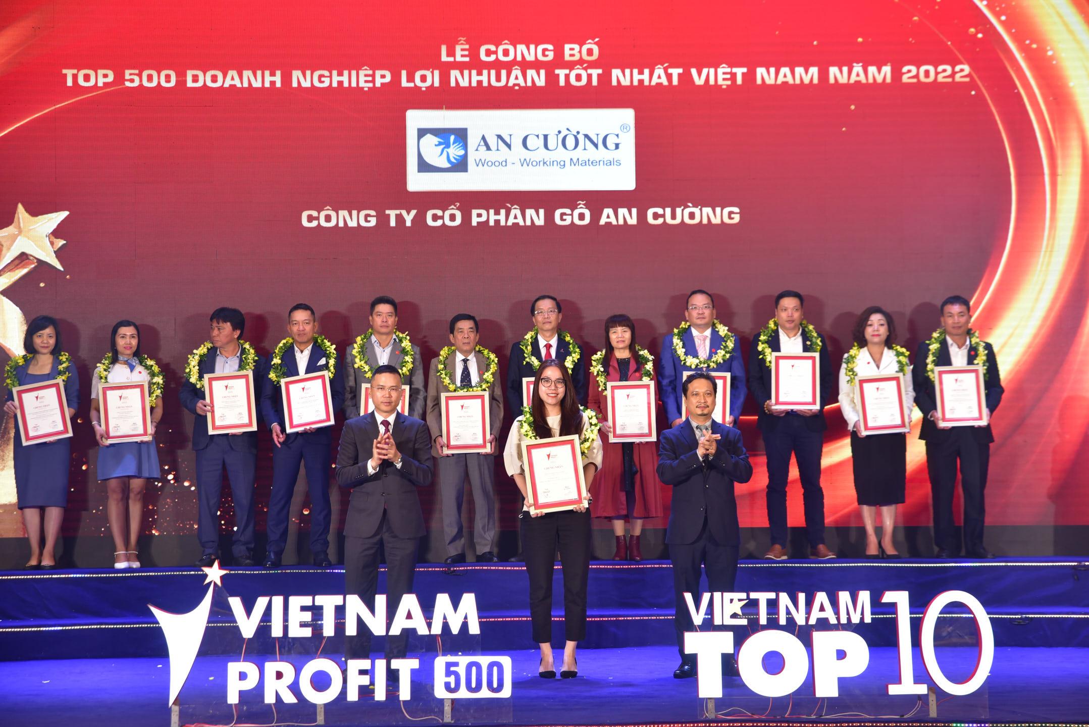 500profit-ancu ong.jpg