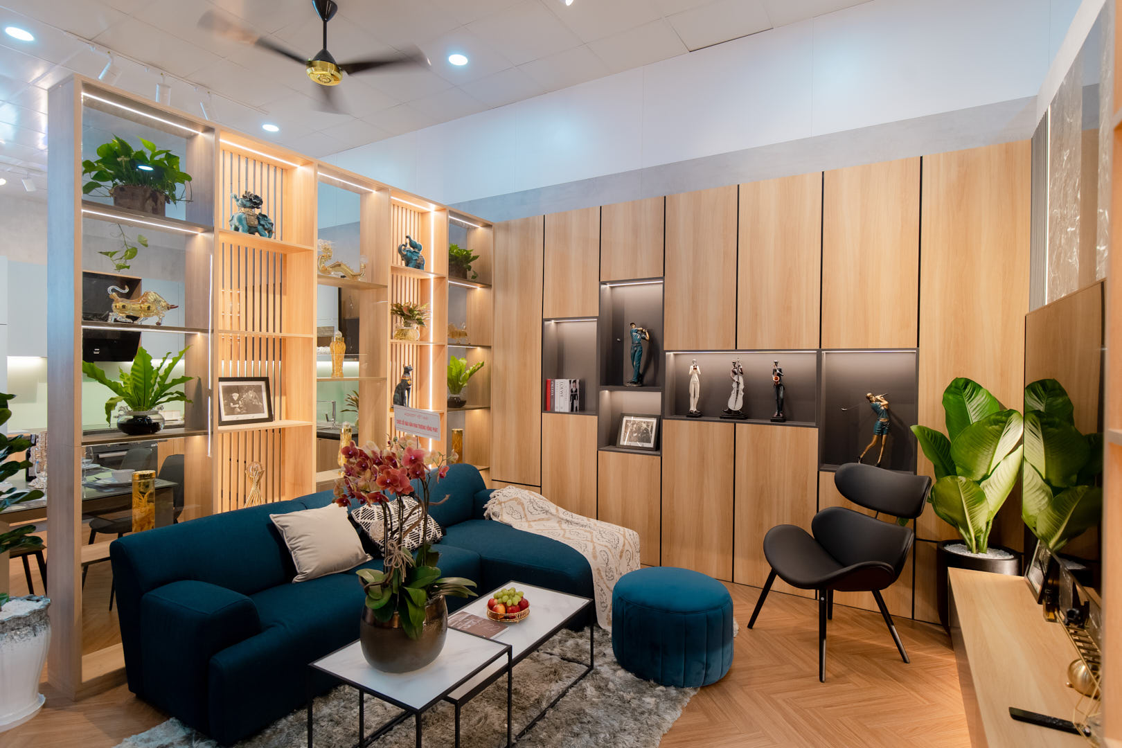 ancuong-baohan -showroom-0.jp g