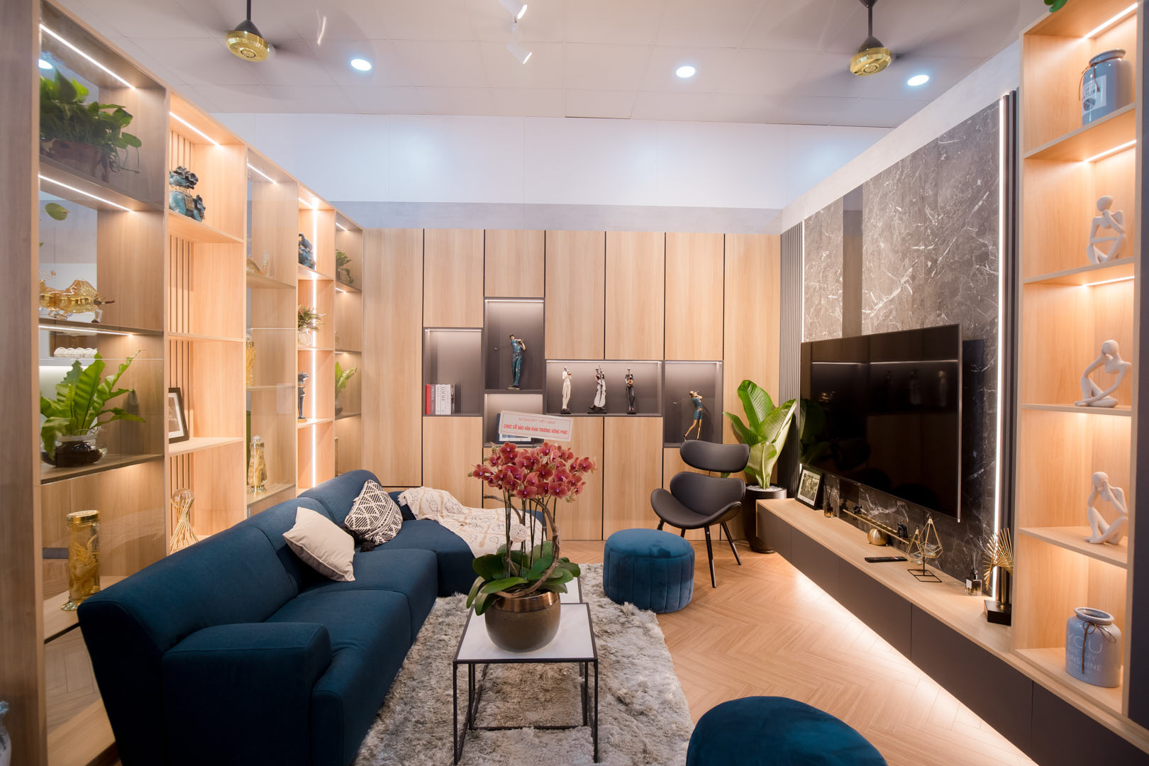 ancuong-baohan -showroom-0.jp g