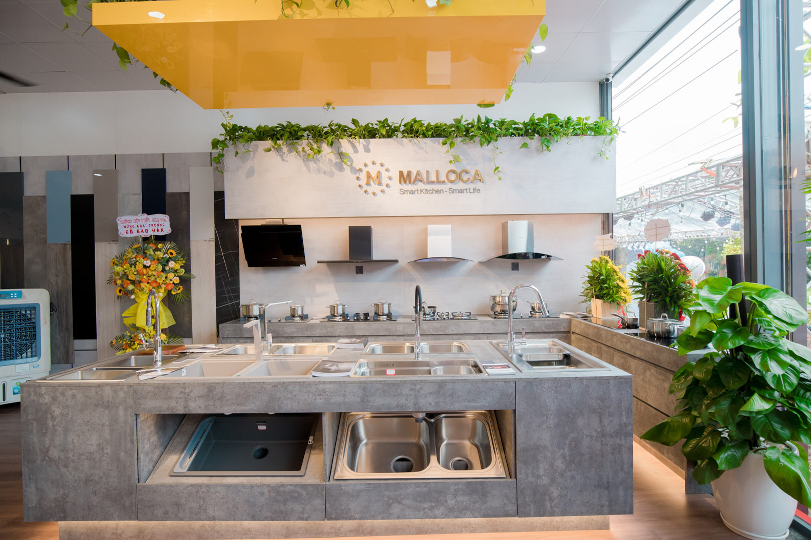 ancuong-baohan -showroom-0.jp g