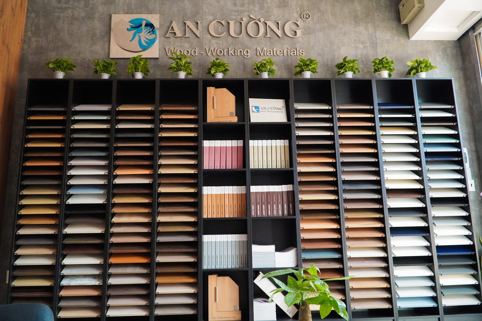 ancuong-ngocth om-1.jpg