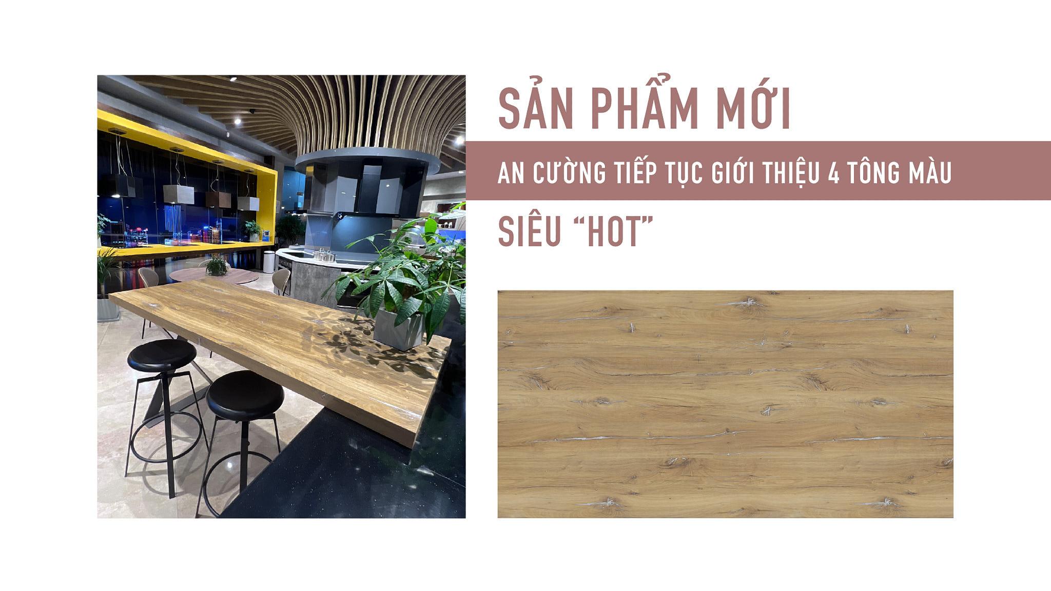 SẢN PHẨM MỚI – AN CƯỜNG TIẾP TỤC GIỚI THIỆU 4 TÔNG MÀU SIÊU “HOT”