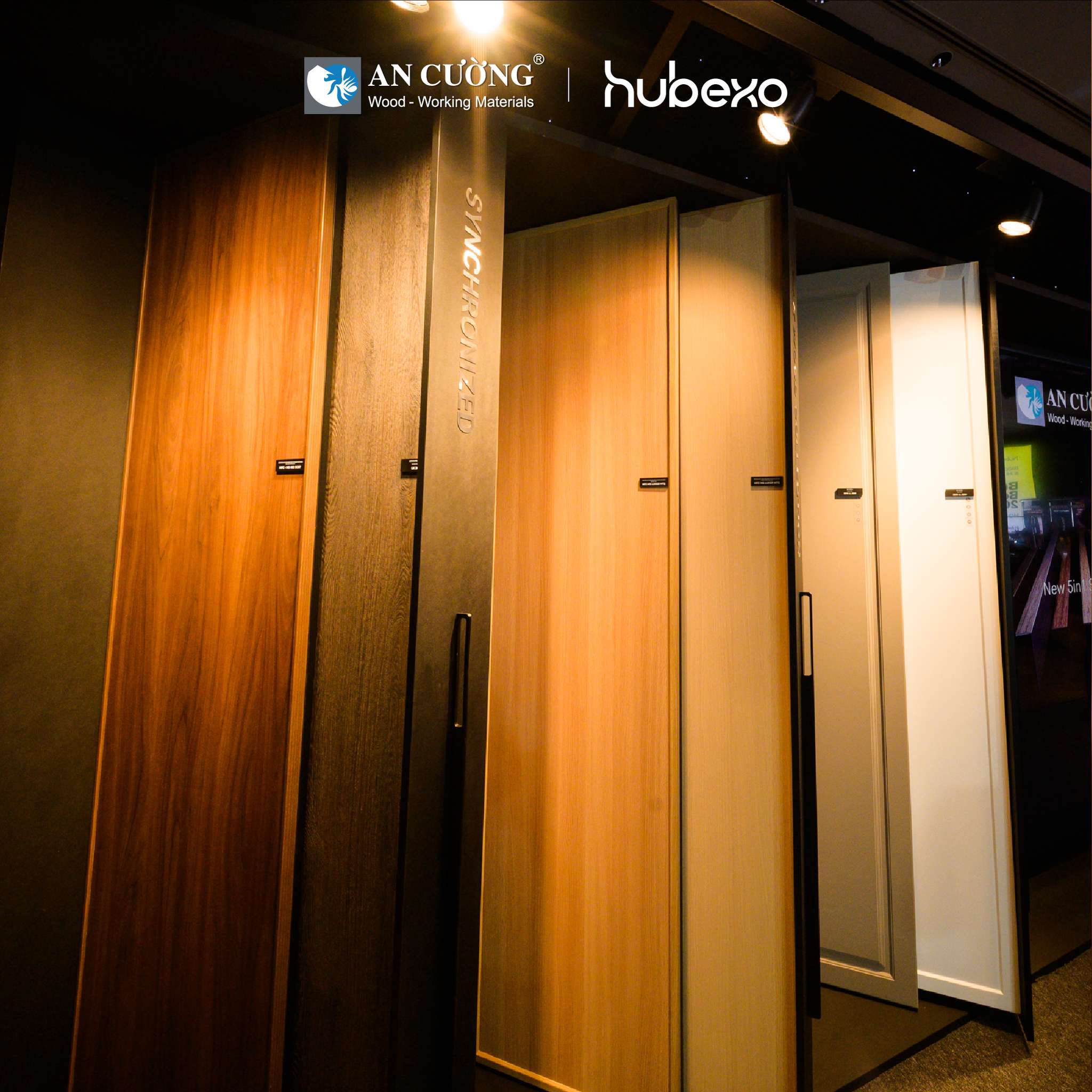hubexo-asia-ancuong-01.jpg