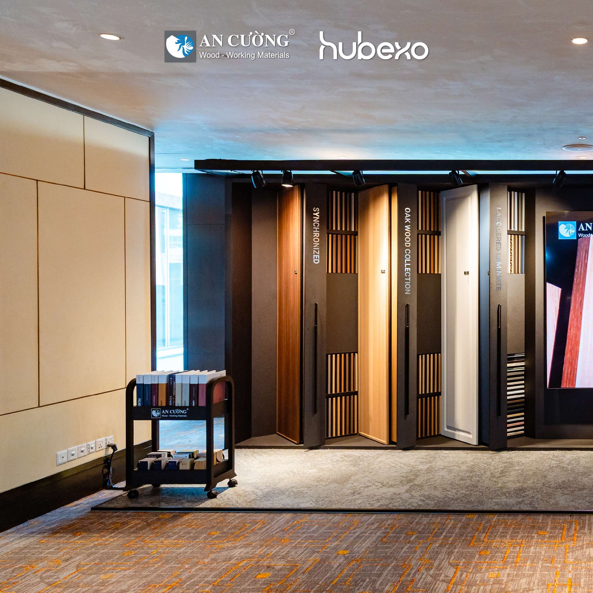 hubexo-ancuong-01.jpg