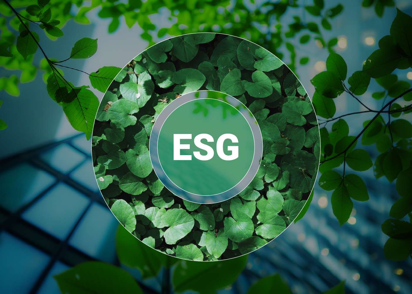 ESG TRONG THỰC TIỄN: LỰA CHỌN BỀN VỮNG MÀ KHÔNG ĐÁNH ĐỔI THẨM MỸ
