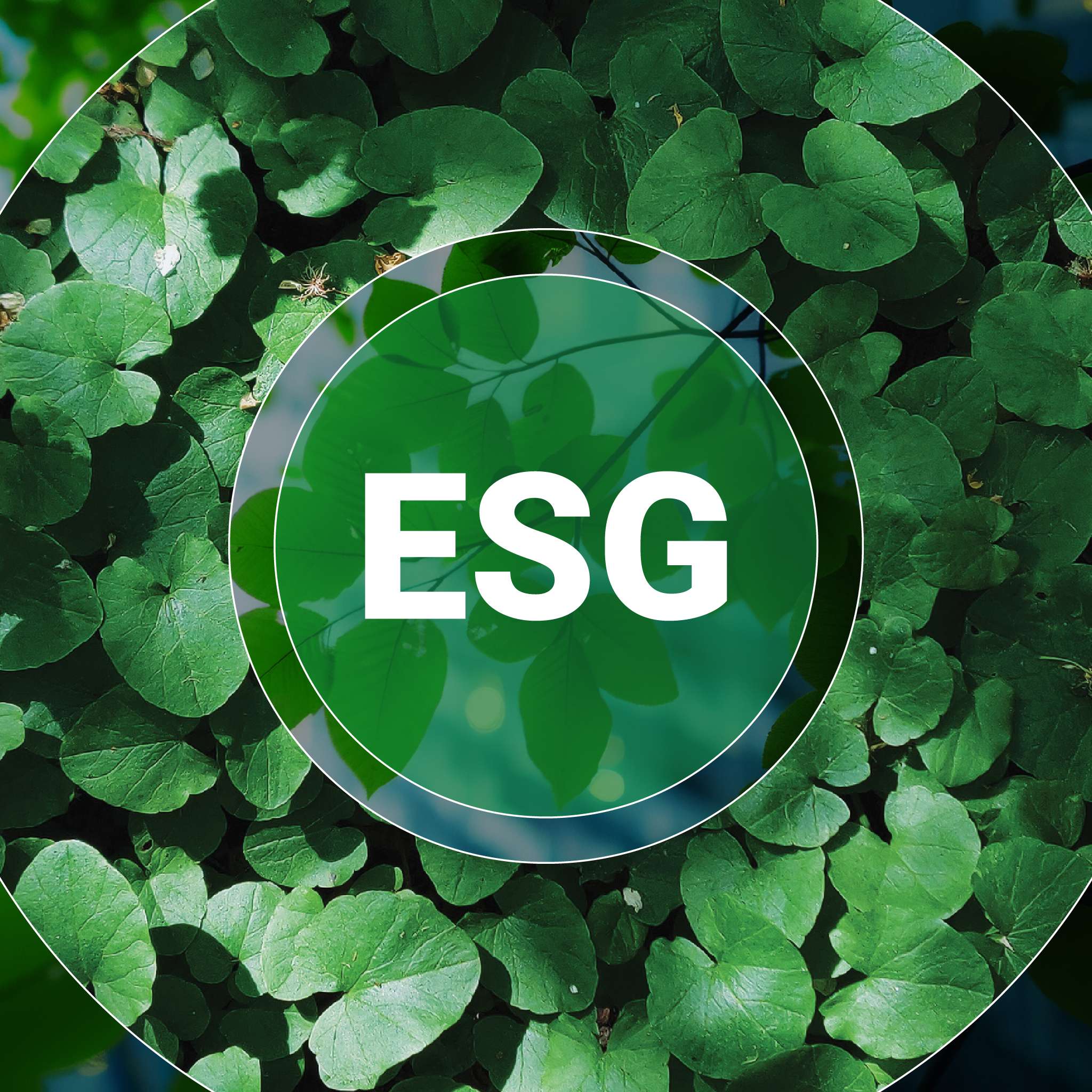 ancuong-esg-in-action-02.jpg