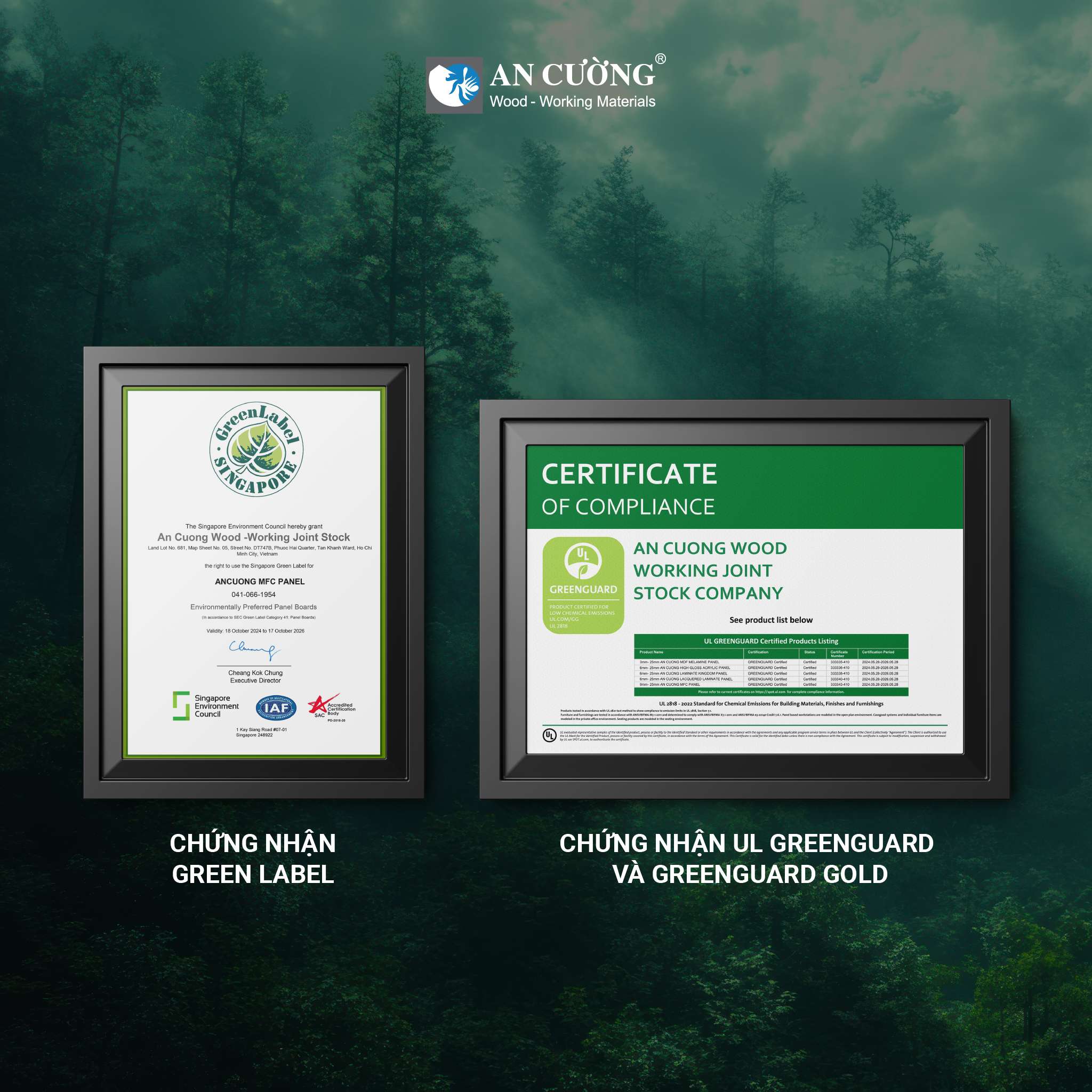 ancuong-esg-06.jpg