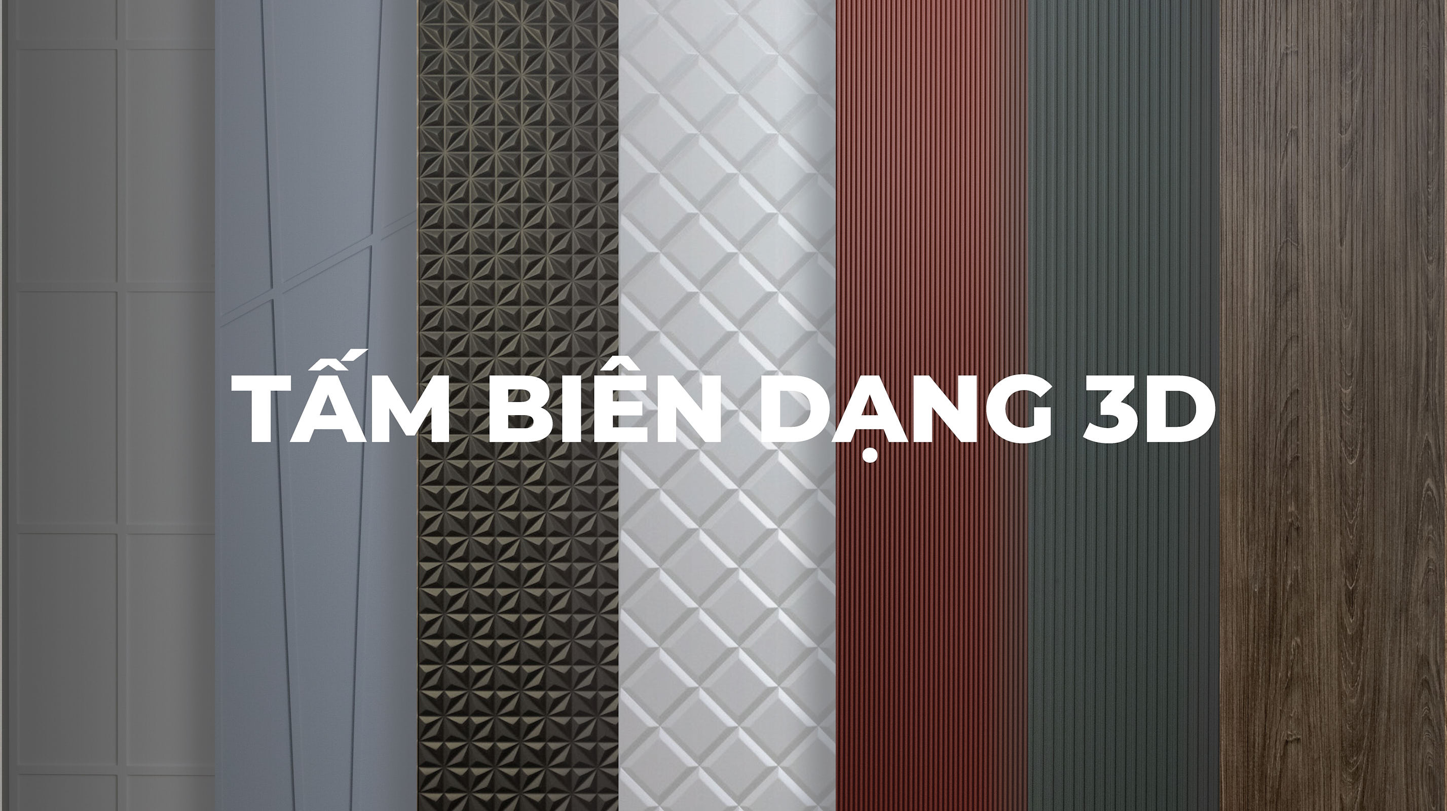 BIẾN HÓA KHÔNG GIAN CÙNG TẤM BIÊN DẠNG 3D