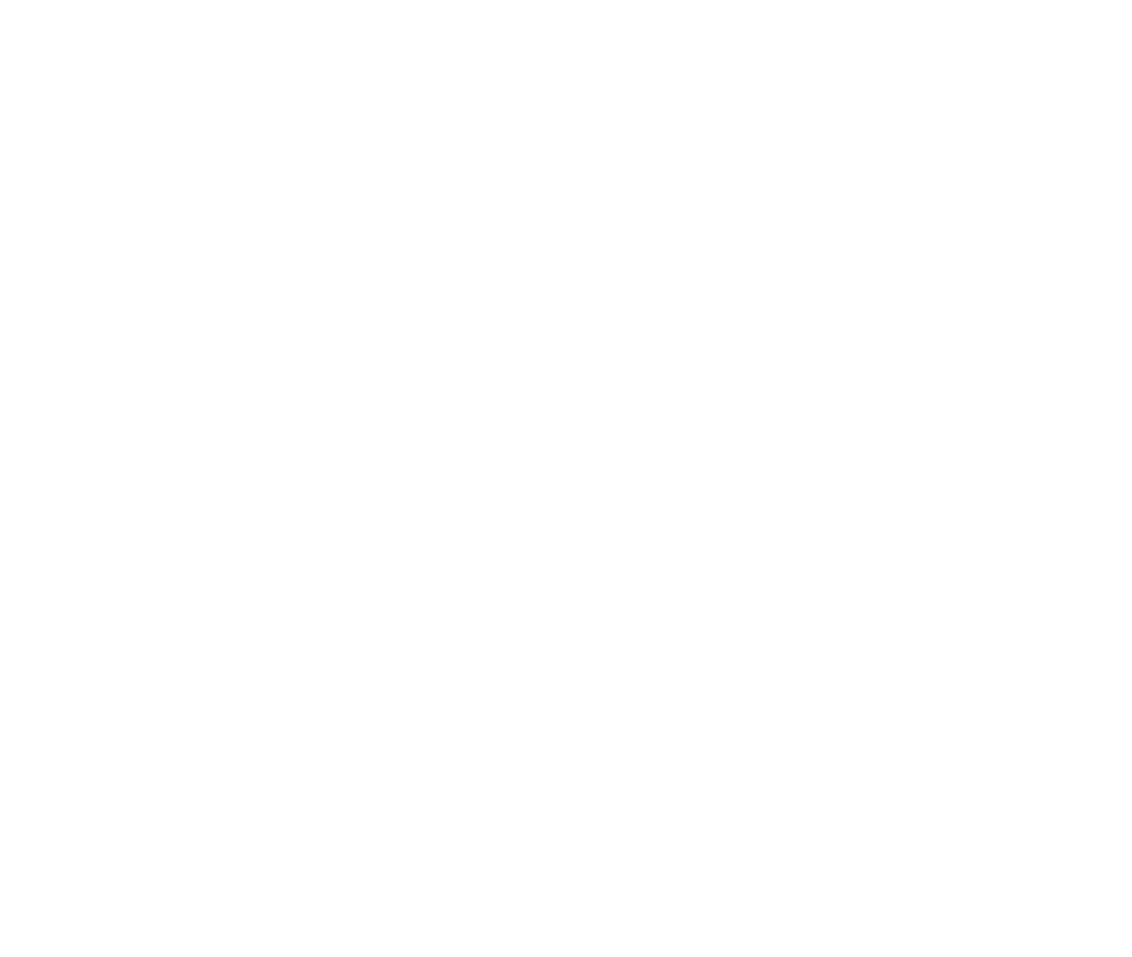 E1