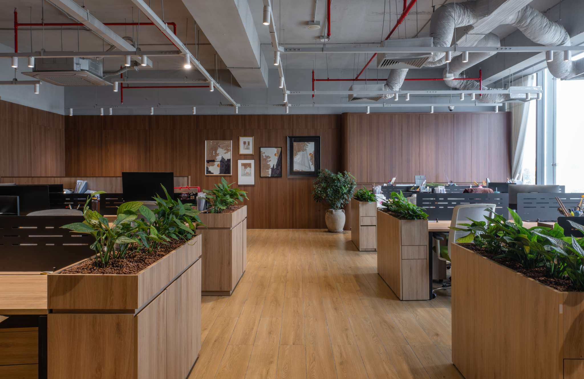 AMPERSAND MANAGEMENT