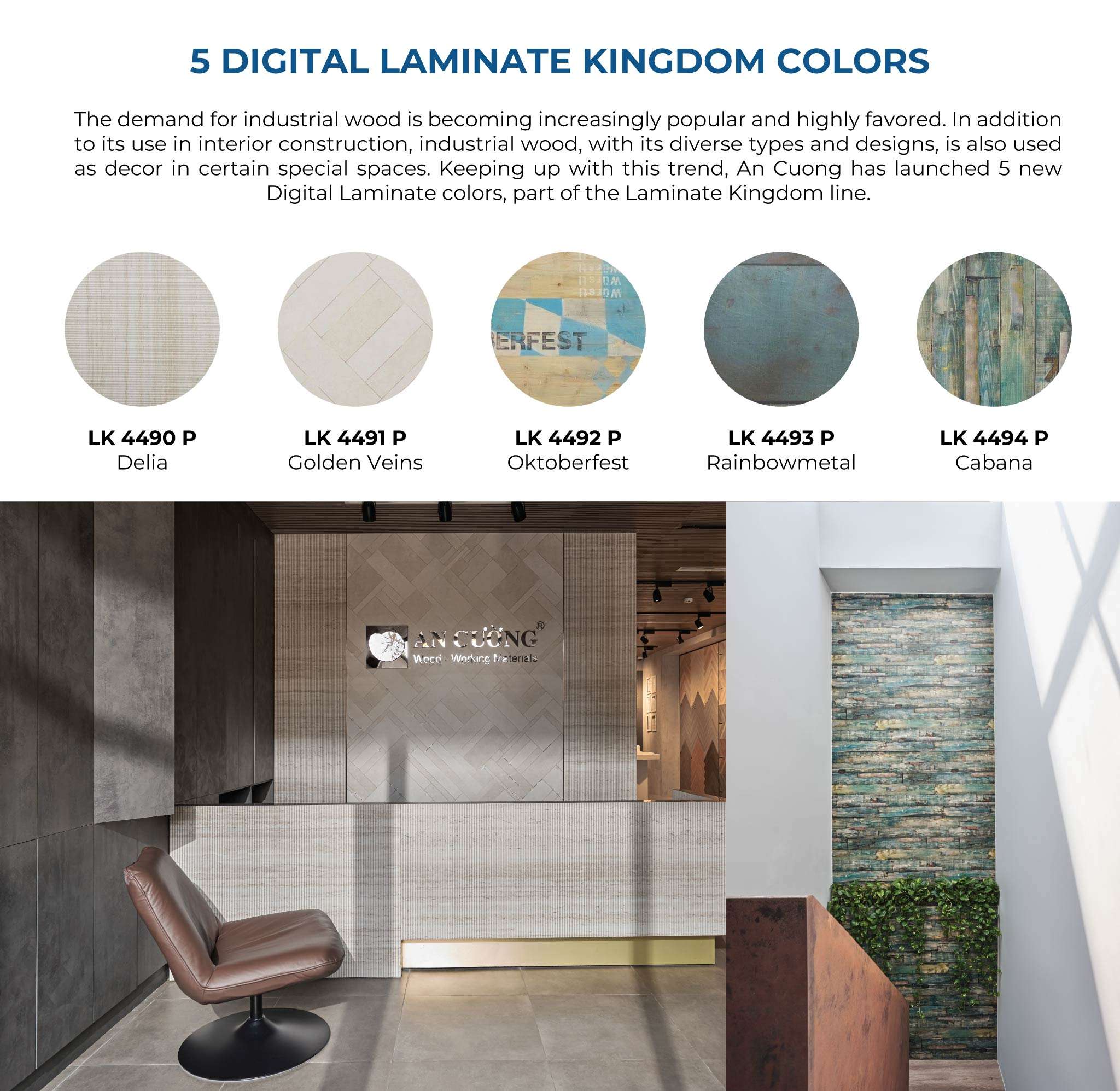 05-digital-laminate-kingdom-colors-ancuong.jpg
