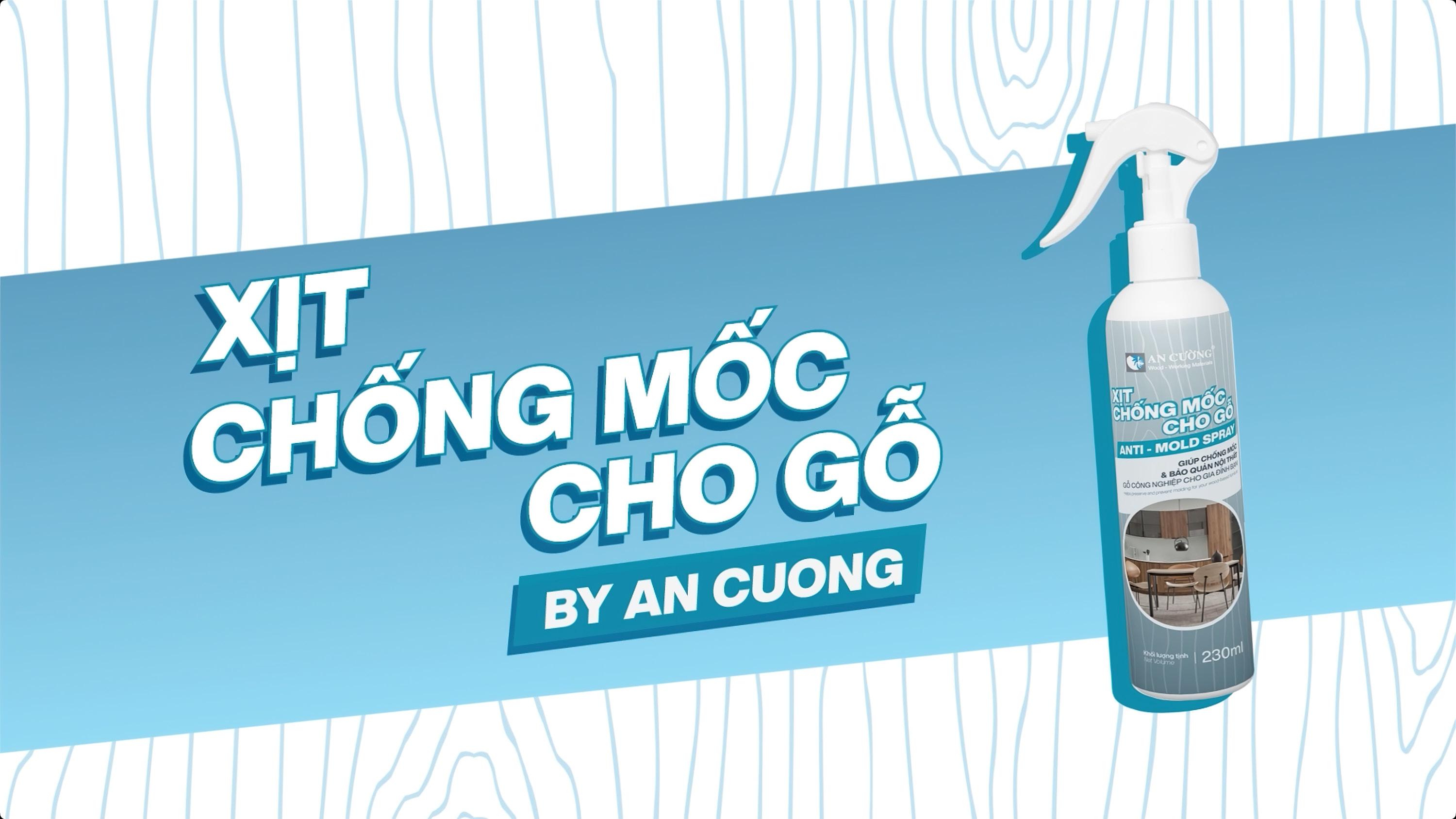 MOLD-RESISTANT SOLUTION FOR FURNITURE PROTECTING YOUR LIVING SPACE AND HEALTH