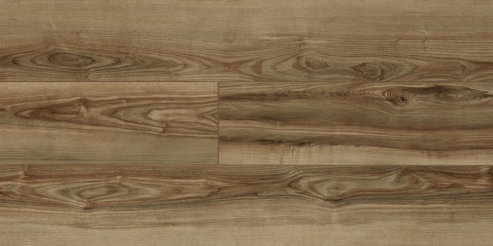 Canyon Nostalgie Esche