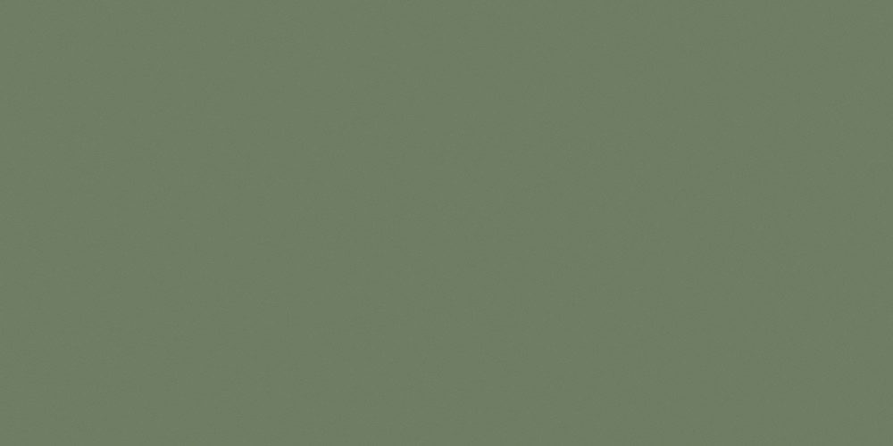 Olive Verte