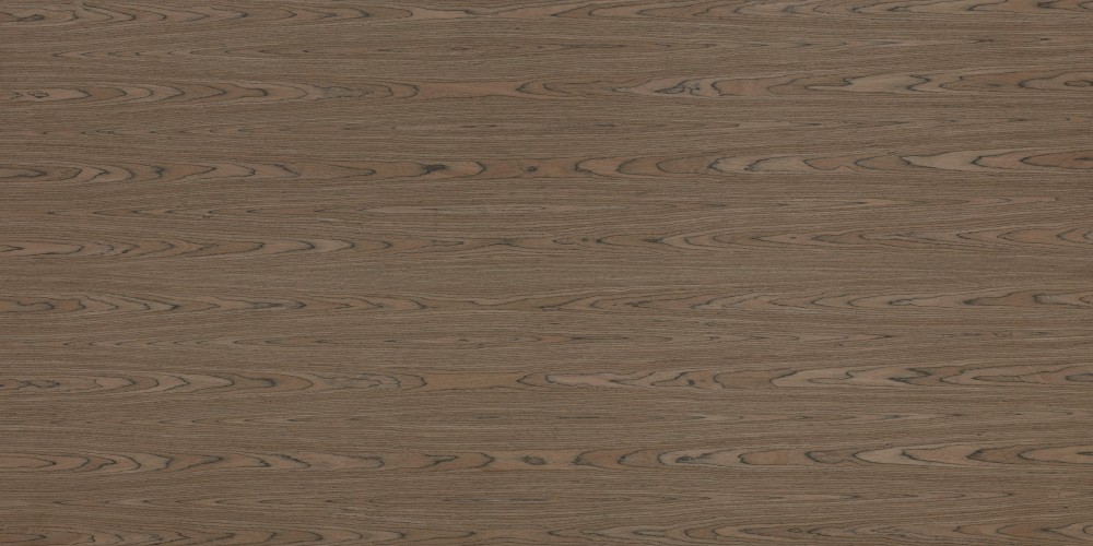 Absolute Walnut Crown