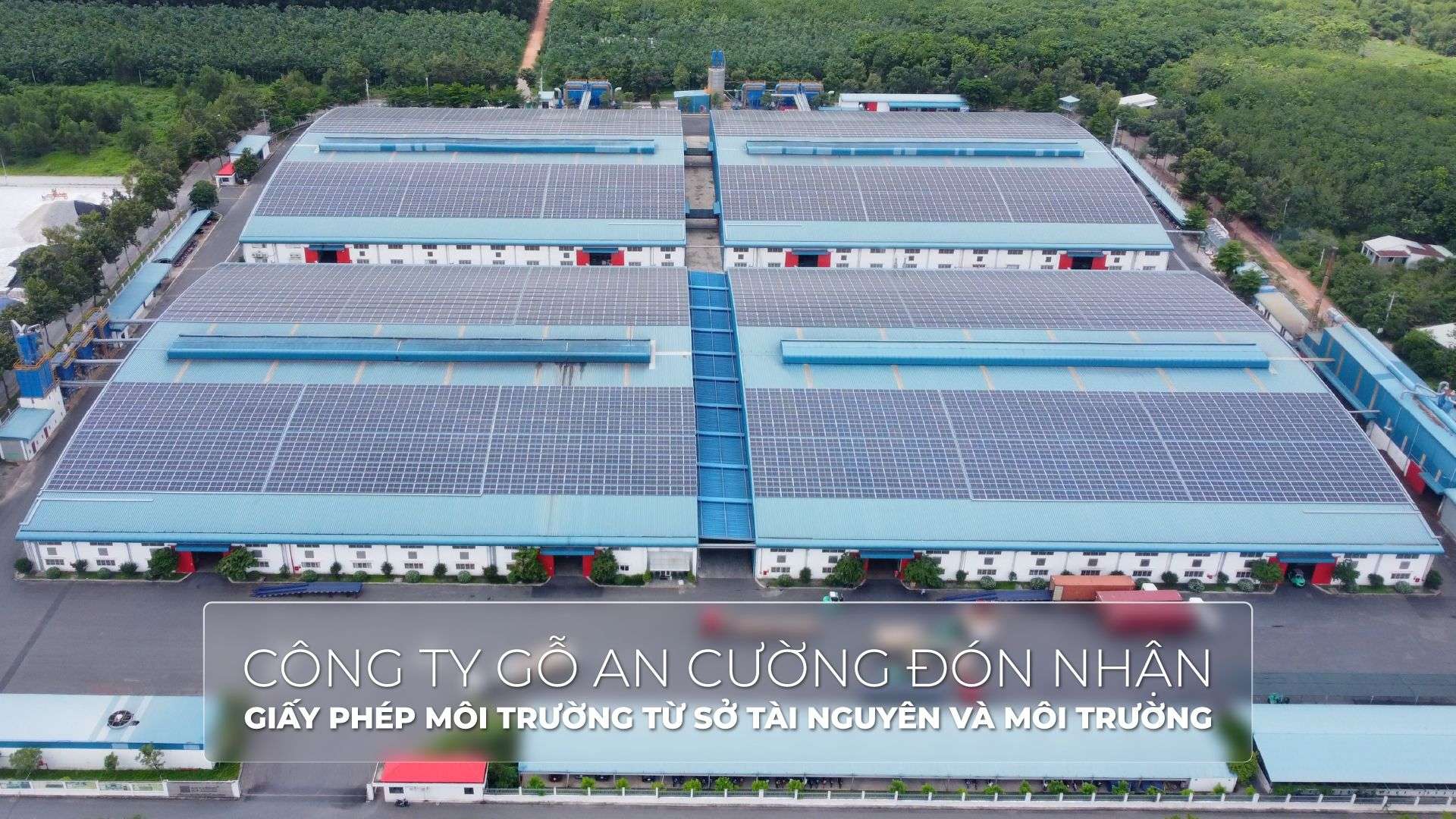 CÔNG TY GỖ AN CƯỜNG ĐÓN NHÂN GIẤY PHÉP MÔI TRƯỜNG TỪ SỞ TÀI NGUYÊN VÀ MÔI TRƯỜNG