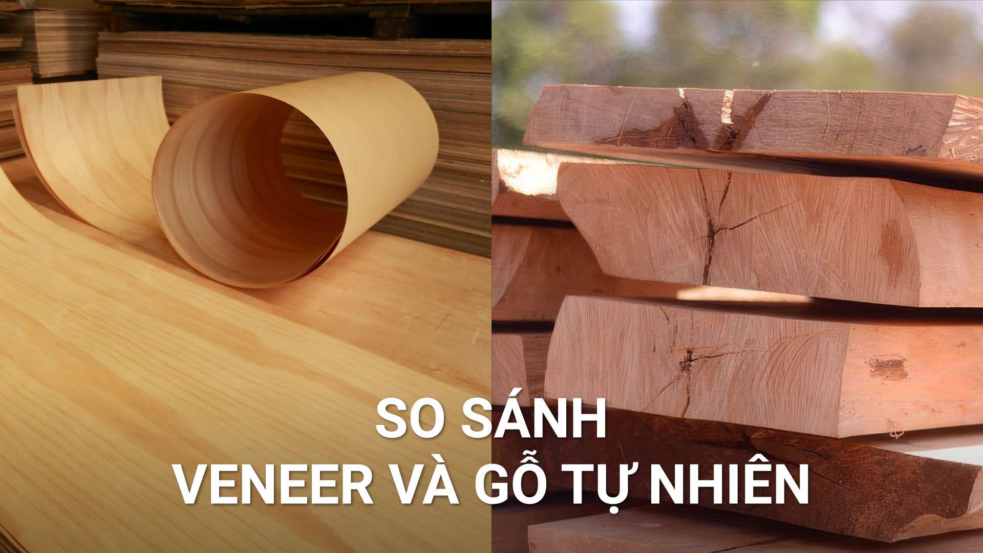 So sánh gỗ Veneer và gỗ tự nhiên. Cách phân biệt Veneer và gỗ tự nhiên