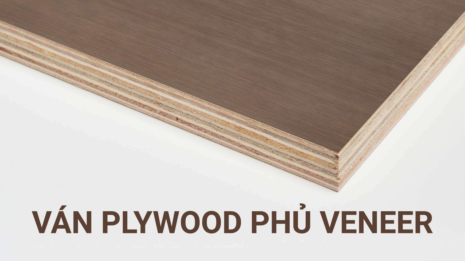 Ván Plywood phủ Veneer là gì? Đặc điểm cấu tạo và ứng dụng