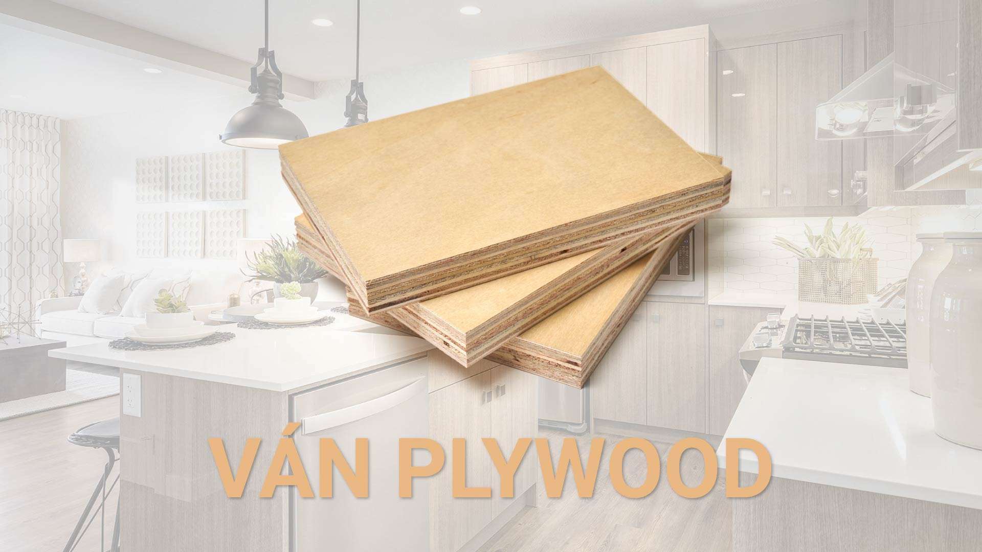 Ván Plywood là gì? Cấu tạo, ưu nhược điểm và ứng dụng trong nội thất