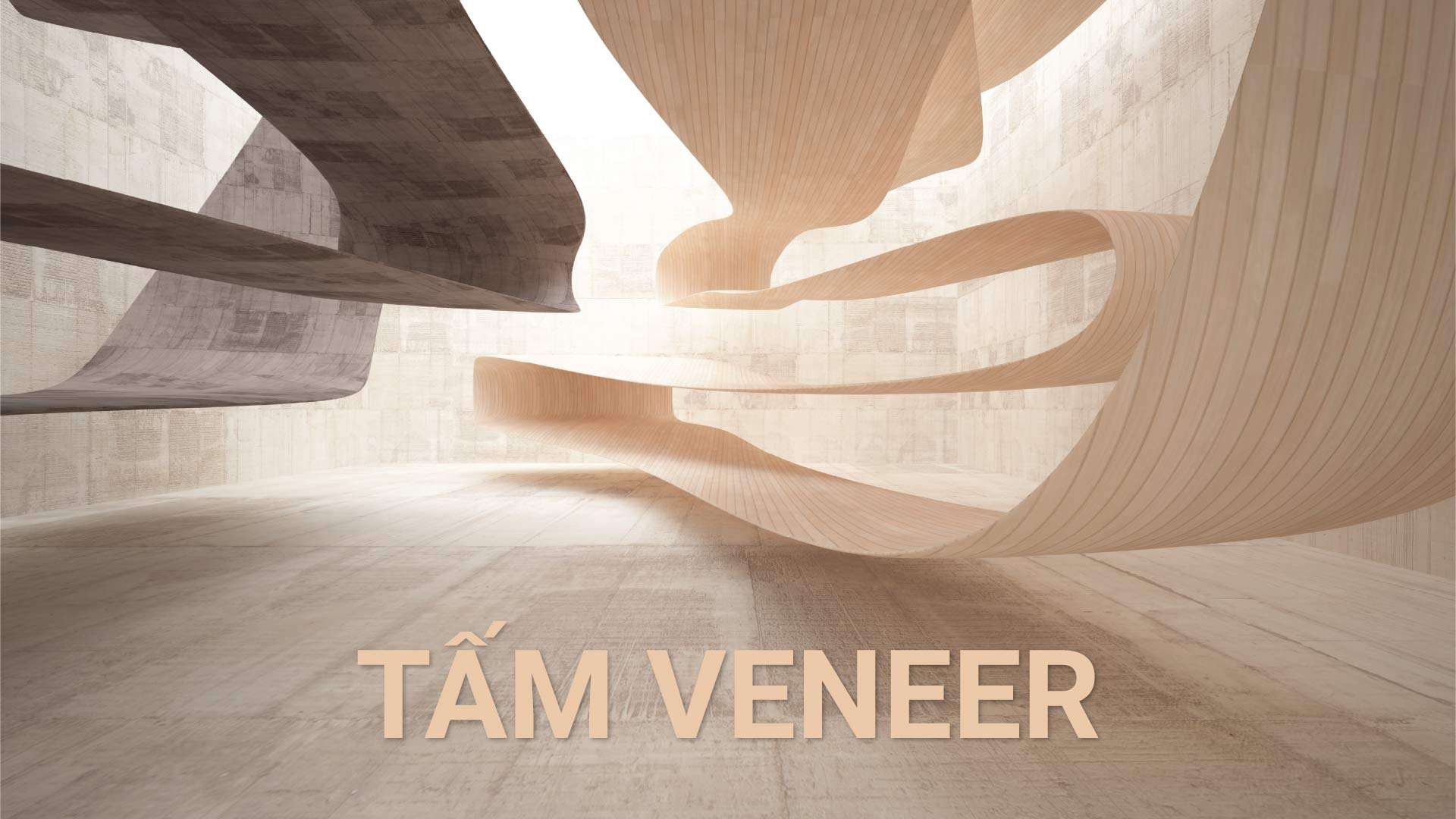 Tấm Veneer là gì? Đặc điểm, ưu nhược điểm và ứng dụng trong nội thất